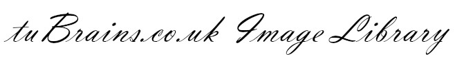 tubrains.co.uk